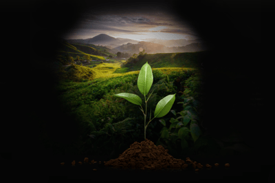 hero chapter chapter04