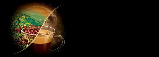 lor mainbanner sustainability overview page unleashing coffee pleasure 1803x652 1 1